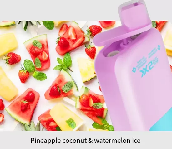 Vapsolo Twins 20 000 Puffs - Pineapple Coconut + Watermelon Ice