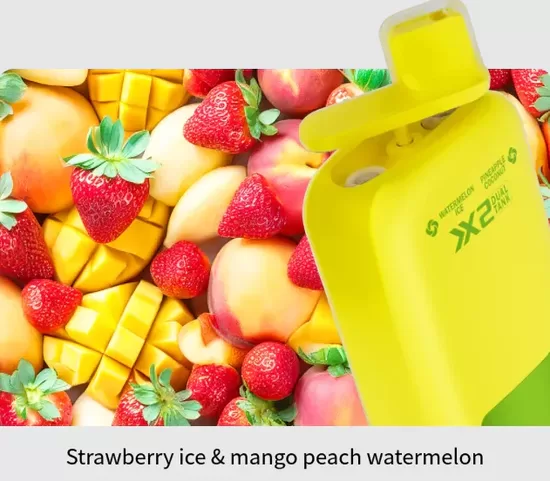 Vapsolo Twins 20 000 Puffs - Strawberry Ice + Mango Peach Watermelon