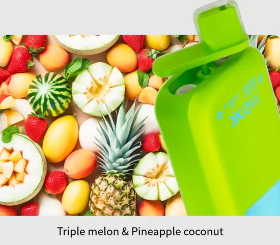 Vapsolo Twins 20 000 Puffs - Triple Melon + Pineapple Coconut