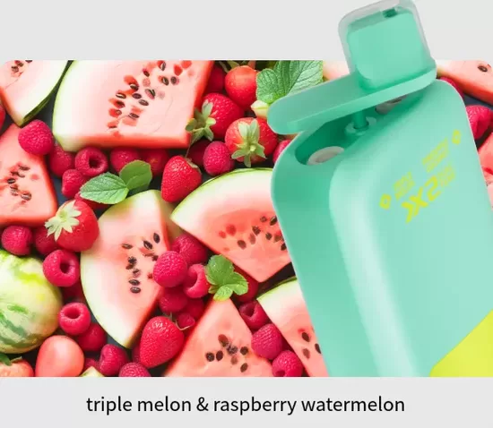 Vapsolo Twins 20 000 Puffs - Triple Melon + Raspberry Watermelon